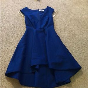 halston heritage dress